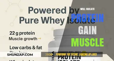 Can Isolate Protein Effectively Build Muscle? Facts and Insights