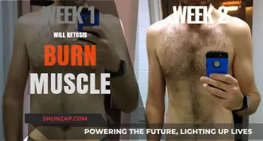Ketosis and Muscle: Friend or Foe?