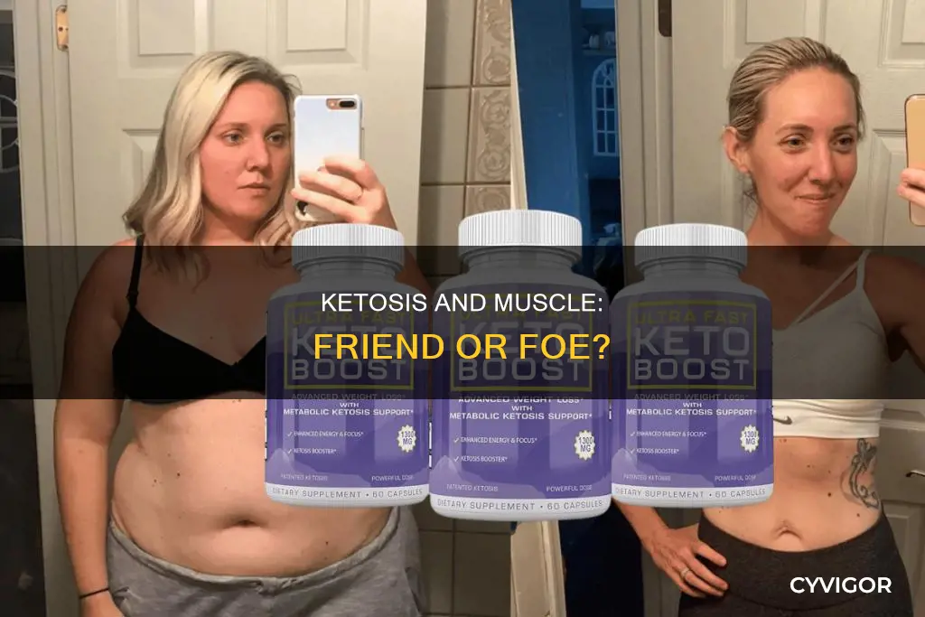 will ketosis burn muscle