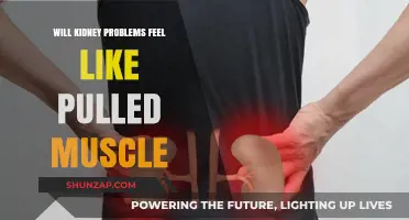 Kidney Issues vs. Pulled Muscle: Recognizing the Difference in Pain