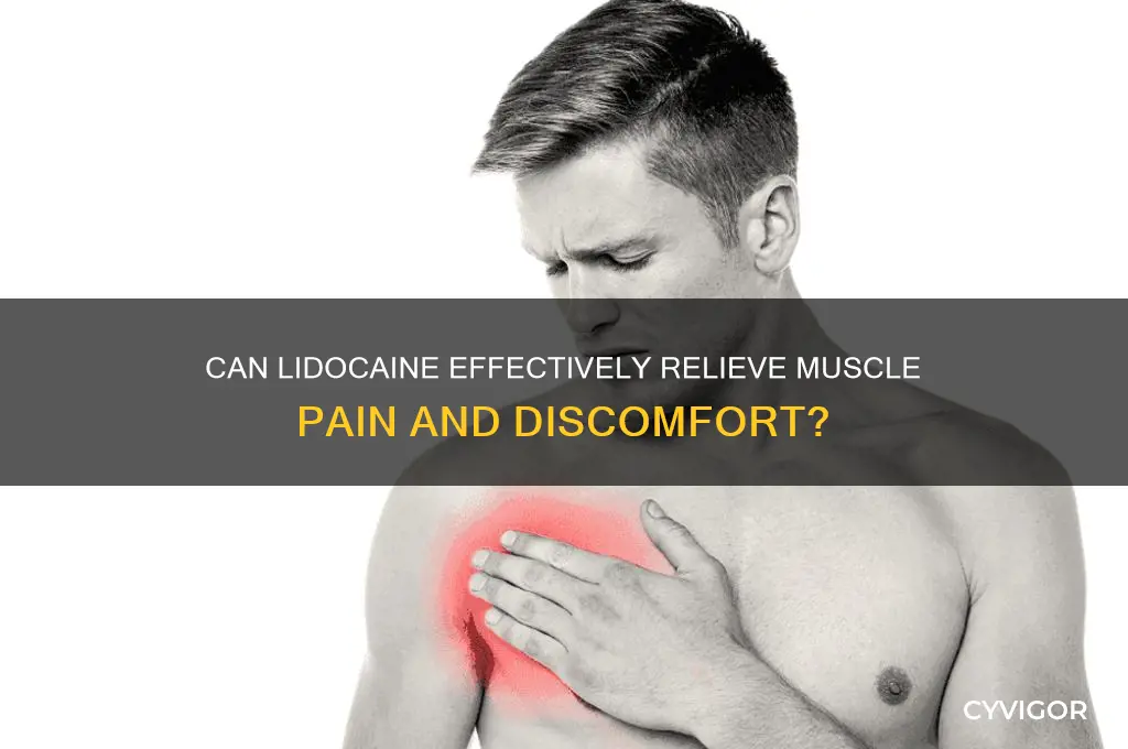 will lidocaine work for muscles