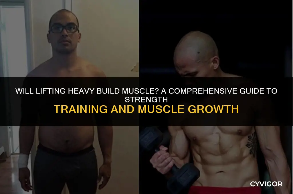will lifting heavy build muscle