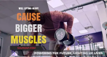 Does Heavy Lifting Lead to Bigger Muscles? The Truth Revealed