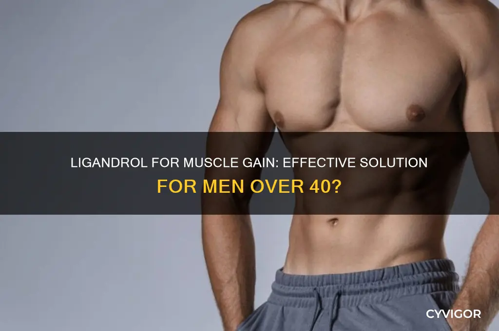 will ligandrol help gain muscles at age 40