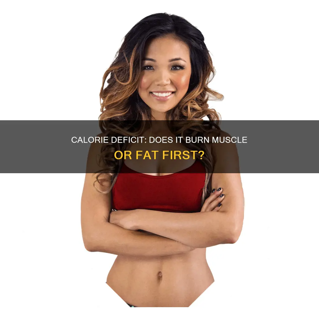will low calories reduce muscle