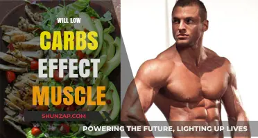 Low-Carb Diets: Do They Affect Muscle Gain?