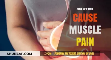 Low Iron Levels: Uncovering the Link to Muscle Pain and Fatigue