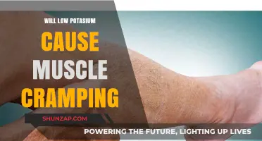 Low Potassium Levels: Unraveling the Link to Muscle Cramps and Pain