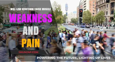Low Serotonin: Unraveling Its Link to Muscle Weakness and Pain