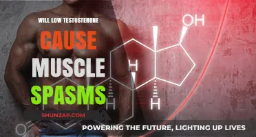 Low Testosterone and Muscle Spasms: Unraveling the Hormonal Connection