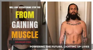 Low Testosterone: Can It Hinder Your Muscle-Building Efforts?