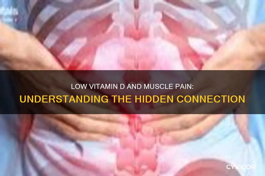 will low vitamin d cause muscle pain