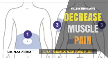 Can Reducing Lantus Doses Alleviate Muscle Pain? Exploring the Link