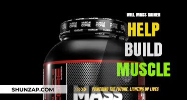 Mass Gainer for Muscle Growth: Effective Supplement or Overhyped?