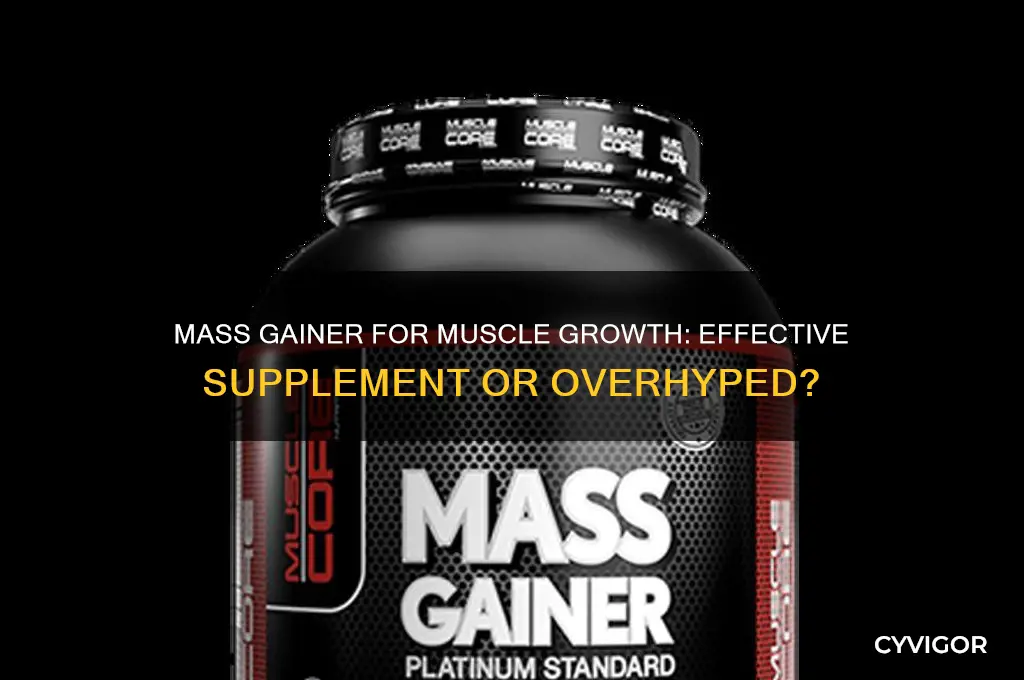 will mass gainer help build muscle