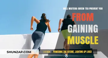 Matcha Green Tea and Muscle Gain: Fact or Fiction?