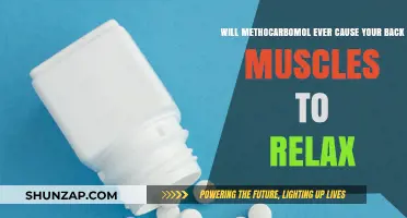 Can Methocarbamol Effectively Relax Your Back Muscles? Exploring the Truth