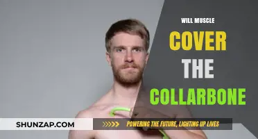 How to Build Muscle and Cover Your Collarbone