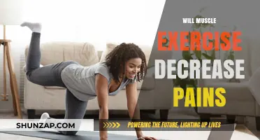 Can Muscle Exercise Effectively Reduce Chronic Pain Symptoms?