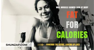 Muscle vs. Fat: Does Muscle Burn Body Fat for Energy?