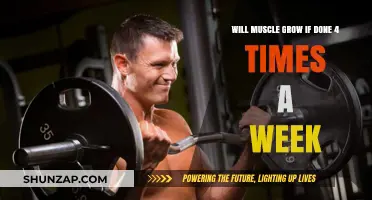 Can You Build Muscle Effectively with Four Weekly Workouts?