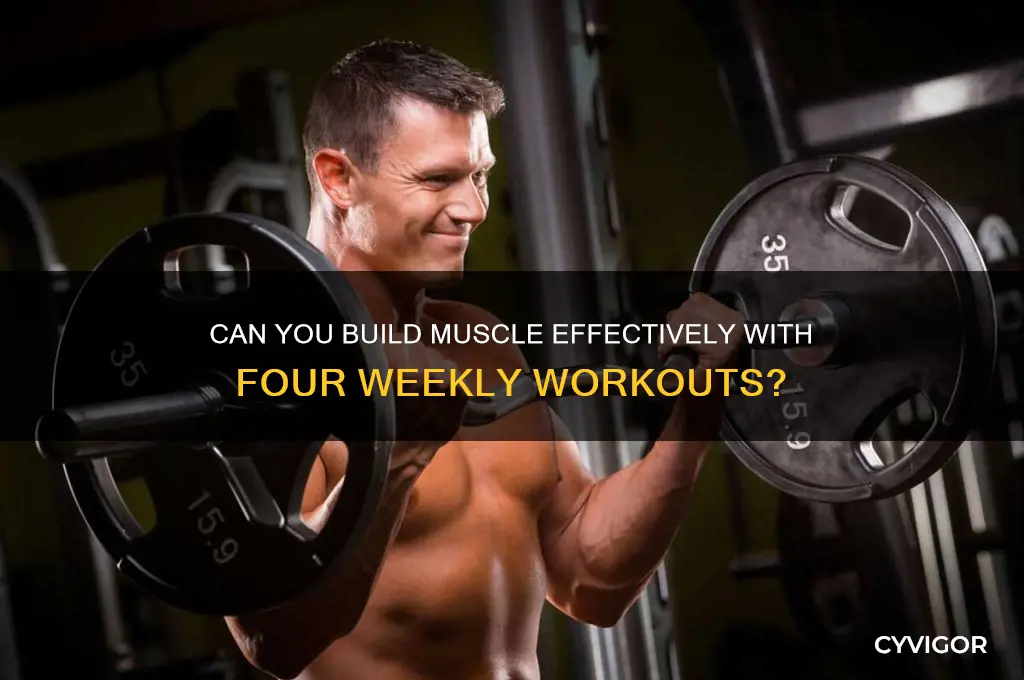 will muscle grow if done 4 times a week
