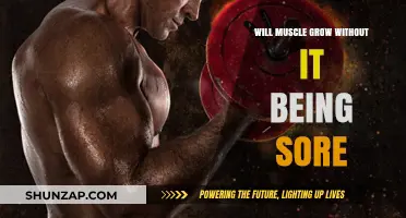 Can Muscles Grow Without Soreness? Unraveling the Post-Workout Myth