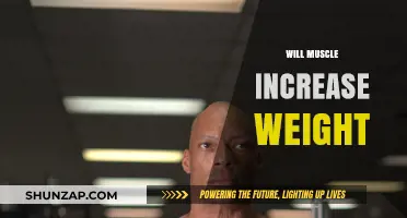 Muscle Mass: Does Gaining It Increase Weight?