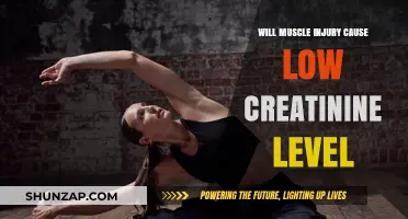 Muscle Injury and Creatinine: Understanding the Link to Low Levels