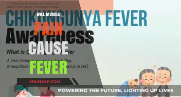 Can Muscle Pain Trigger Fever? Understanding the Connection and Symptoms
