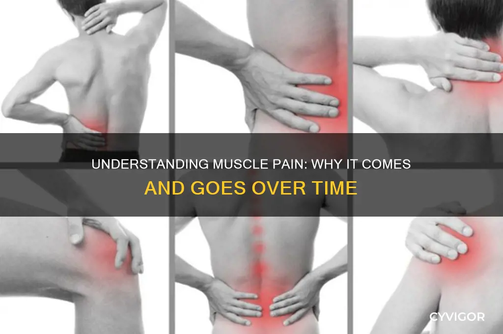will muscle pain come and go