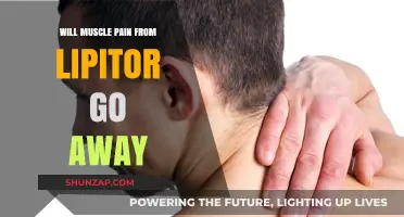 Will Lipitor-Induced Muscle Pain Resolve? Understanding Symptoms and Relief