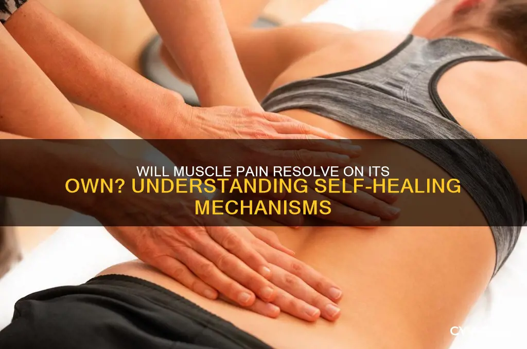 will muscle pain go away by itself