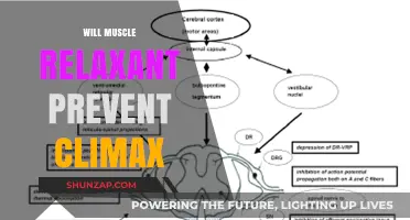 Muscle Relaxants and Climax: Unraveling the Impact on Sexual Response
