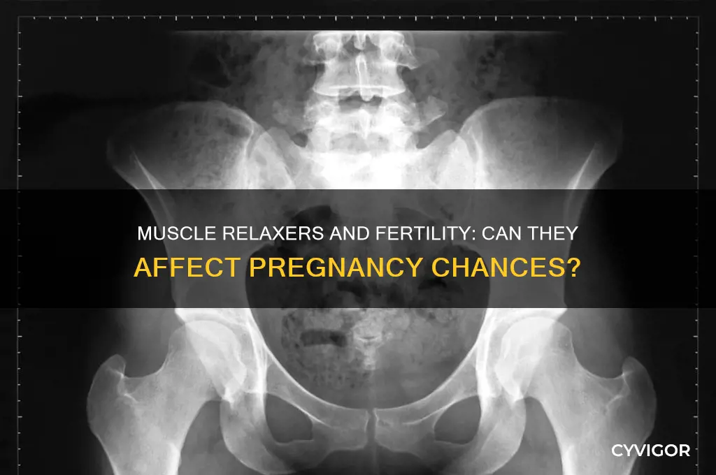 will muscle relaxers keep you from get pregnant