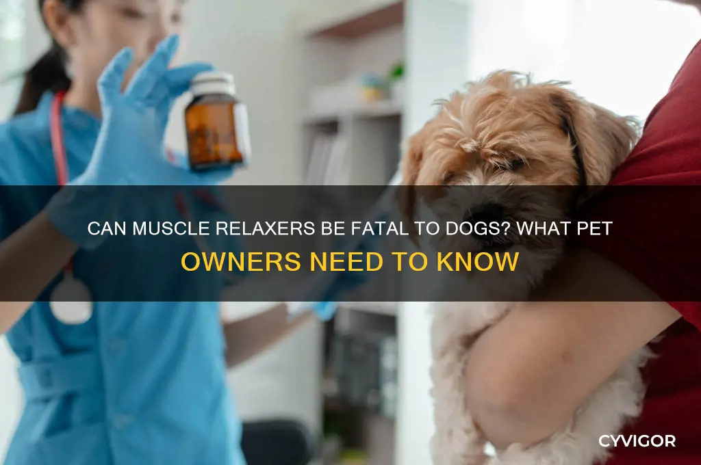 will muscle relaxers kill a dog