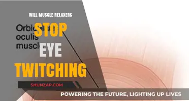 Can Muscle Relaxers Effectively Halt Persistent Eye Twitching? Exploring Options
