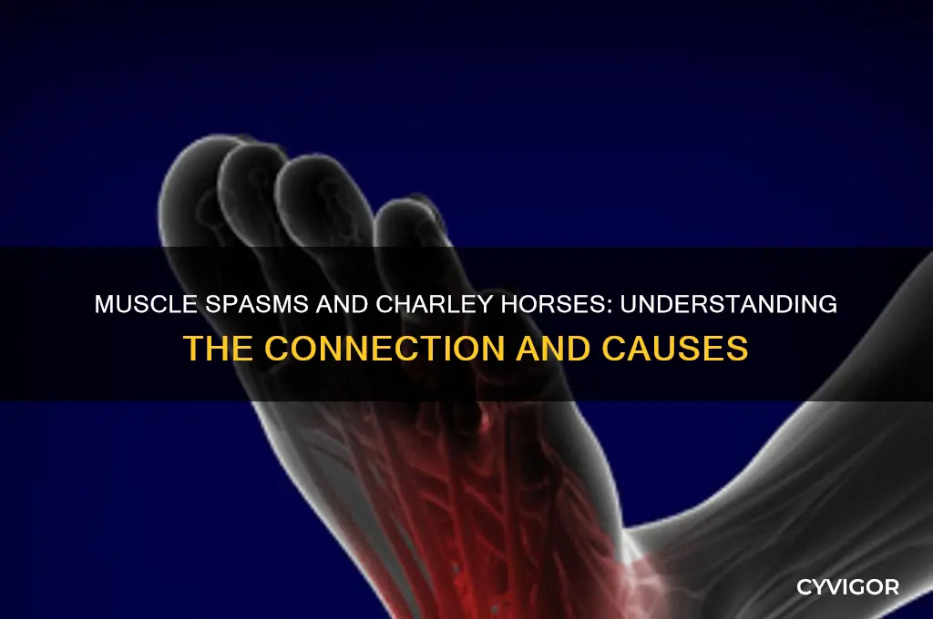 will muscle spasms cause charley horses