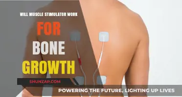 Muscle Stimulators and Bone Growth: Fact or Fiction?