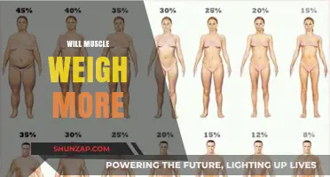 Muscle Mass: Does It Weigh More?