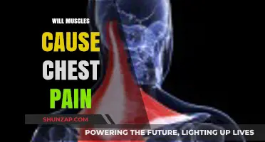 Can Muscle Strain Cause Chest Pain? Understanding the Connection