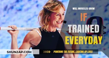 Daily Muscle Training: Does Frequency Fuel Growth or Cause Fatigue?