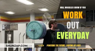 Daily Workouts and Muscle Growth: Fact or Fitness Fiction?