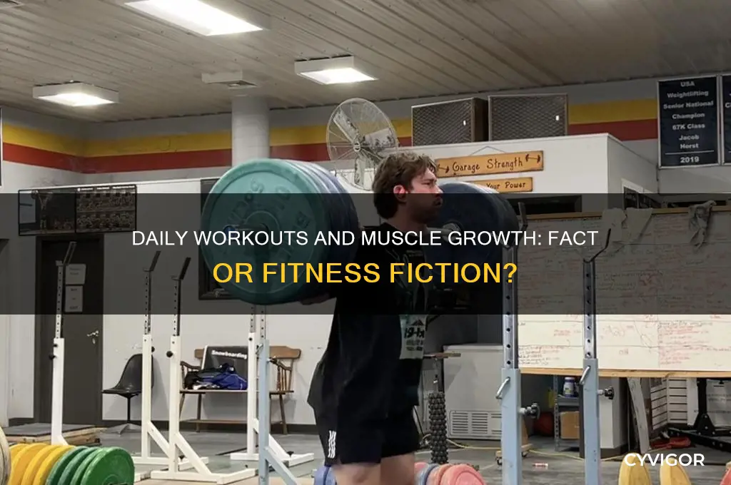 will muscles grow if you work out everyday