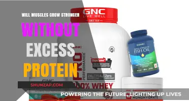 Can Muscles Strengthen Without Excess Protein? Unraveling the Myth
