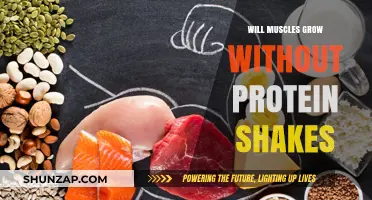 Can Muscles Grow Without Protein Shakes? The Truth Revealed