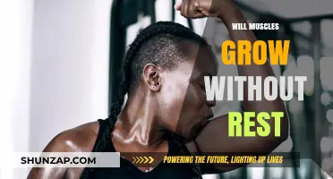 Muscle Growth Without Rest: Fact or Fitness Myth?