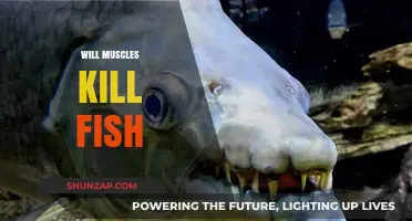 How Muscles Affect Fish Survival
