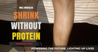 Protein Power: Muscle Maintenance and Growth