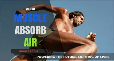 Muscle Myth: Air Absorption and Your Body